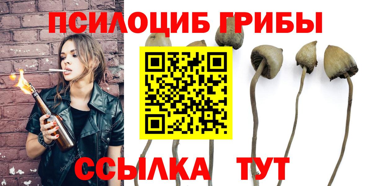 Лыткарино  Галлюциногенные грибы прущие грибы  закладка  Галлюциногенные грибы Cubensis  Вход с VPN 
